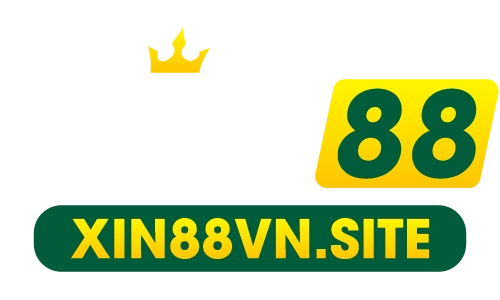 xin88vn.site