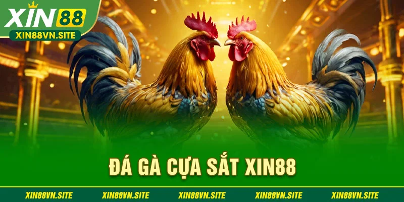 đá gà cựa sắt xin88