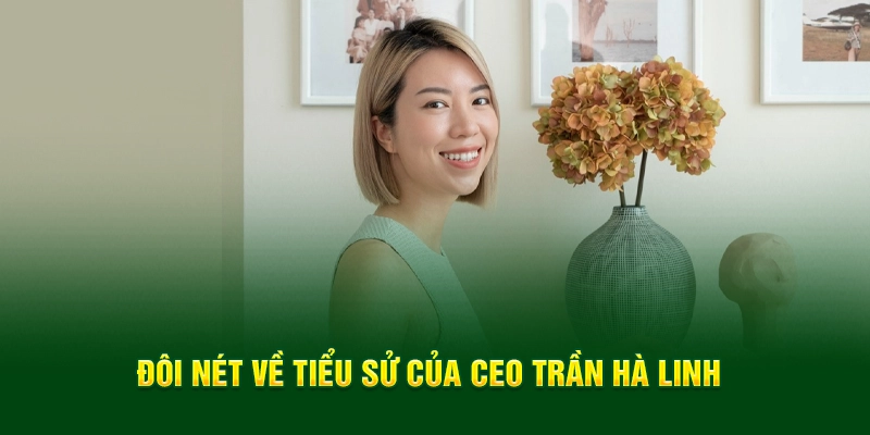 Đôi nét về tiểu sử của CEO Trần Hà Linh