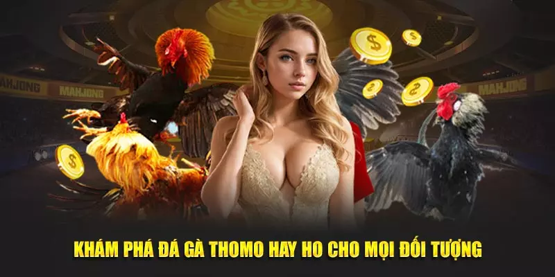 Khám phá đá gà Thomo hay ho cho mọi đối tượng