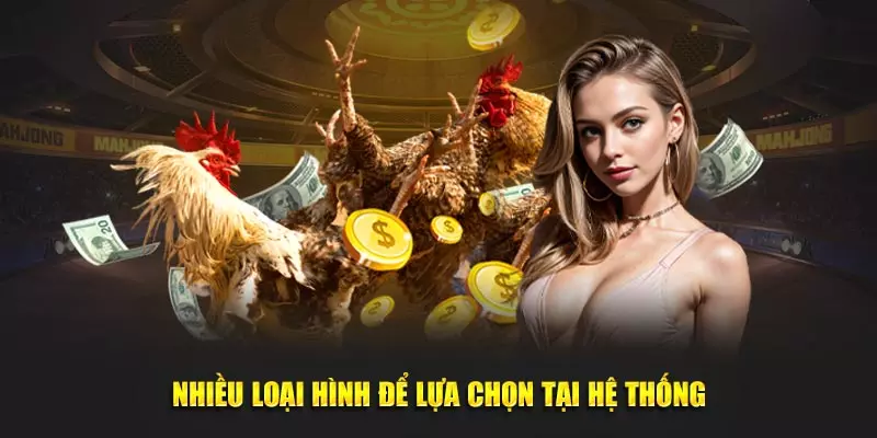 Nhiều loại hình để lựa chọn tại hệ thống